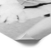 Toter Körper von Outlaw Jesse James Fotograf Poster (Ecke)