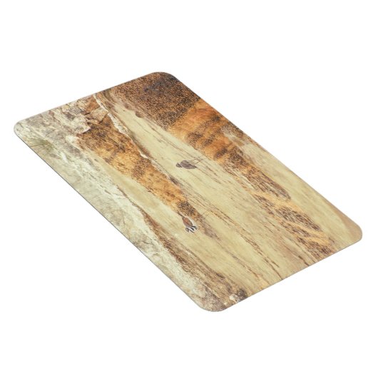 Töter Magnet (Rechte Seite)