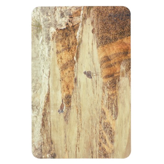 Töter Magnet (Vertikal)