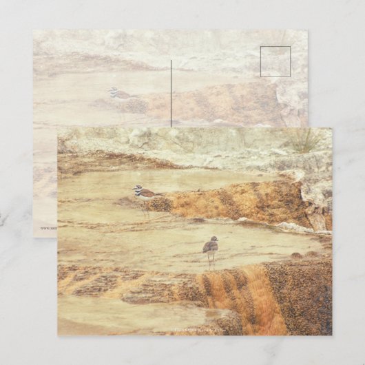 Töter Postkarte (Vorne/Hinten)