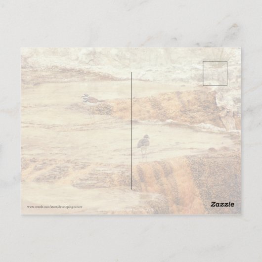 Töter Postkarte (Rückseite)