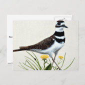 Töter Postkarte (Vorne/Hinten)