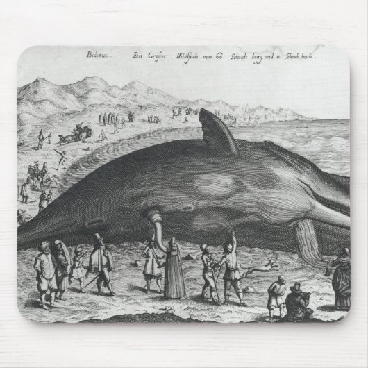 Toter Wal Mousepad (Vorne)