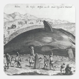 Toter Wal Quadratischer Aufkleber