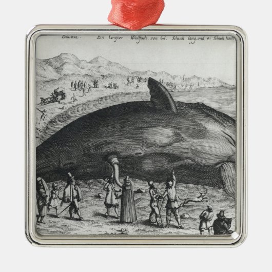 Toter Wal Silbernes Ornament (Vorne)