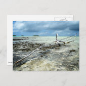 Totes Holz im Pazifik auf der Postkarte (Vorne/Hinten)