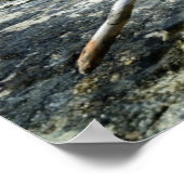 Totes Holz im Pazifik-Poster Poster (Ecke)
