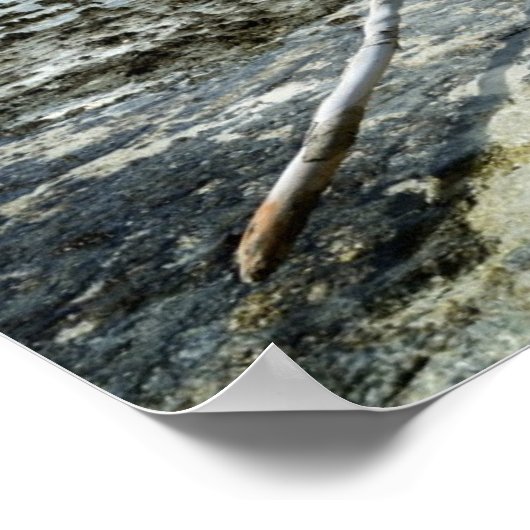 Totes Holz im Pazifik-Poster Poster (Ecke)