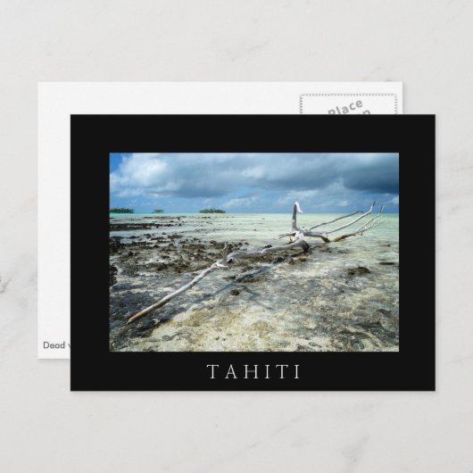Totes Holz im Pazifik, schwarzer Text, Postkarte (Vorne/Hinten)
