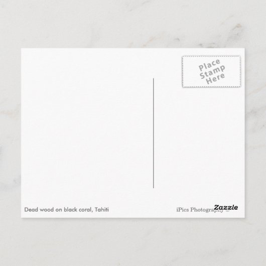 Totes Holz im Pazifik, schwarzer Text, Postkarte (Rückseite)