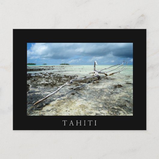 Totes Holz im Pazifik, schwarzer Text, Postkarte (Vorderseite)