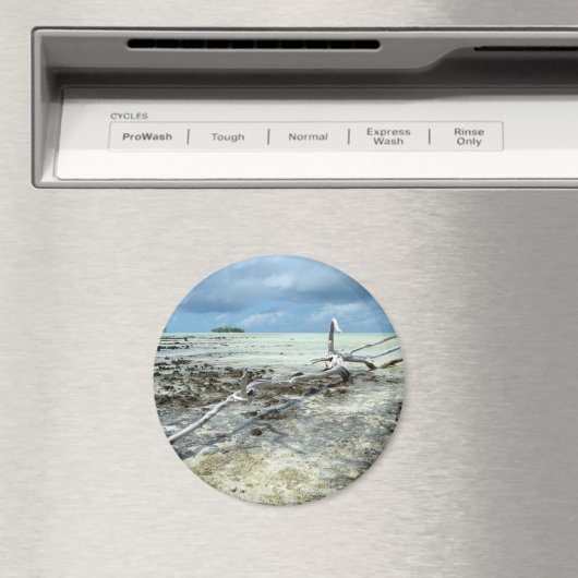 Totes Holz im Pazifikrunden Magneten Magnet (In Situ (Geschirrspüler))