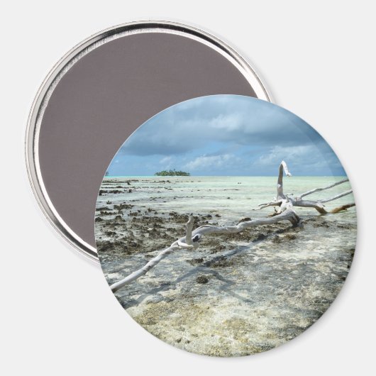 Totes Holz im Pazifikrunden Magneten Magnet (Vorderseite/Rückseite)