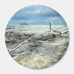 Totes Holz im Pazifikrunden Magneten Magnet