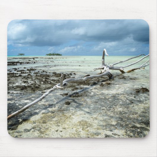 Totes Holz im pazifischen mousepad (Vorne)