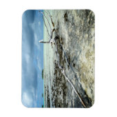 Totes Holz im pazifischen rechteckigen Magneten Magnet (Vertikal)