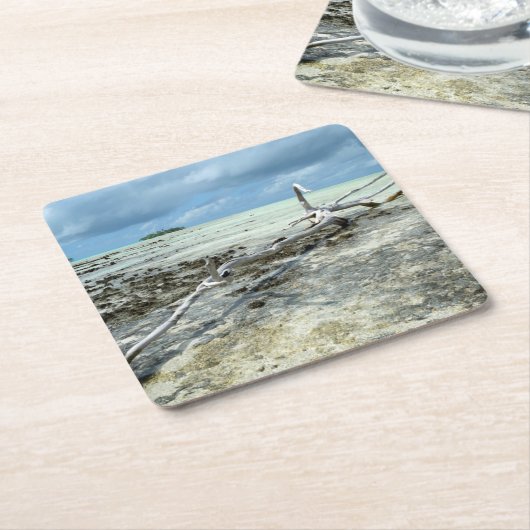 Totes Holz im pazifischen Untersetzer (angewinkelt)