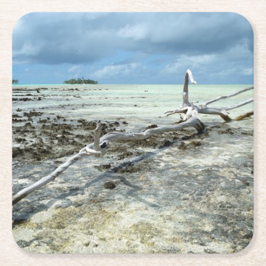 Totes Holz im pazifischen Untersetzer (Vorderseite)