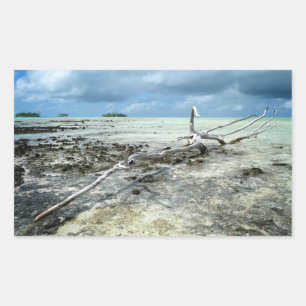 Totes Holz im rechteckigen Pazifik-Aufkleber Rechteckiger Aufkleber