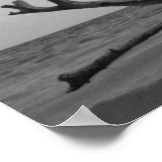 Totes Holz Poster (Ecke)