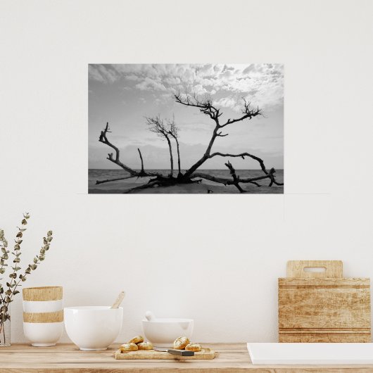 Totes Holz Poster (Küche)