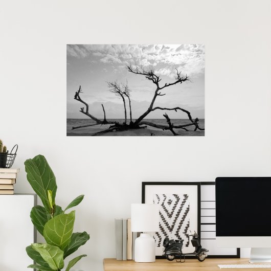 Totes Holz Poster (Heimbüro)