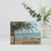 Totes Meer, Israel Postkarte (Stehend Vorderseite)