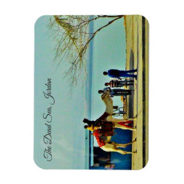 Totes Meer, Jordanien Magnet