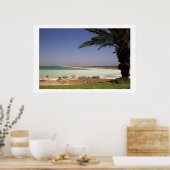 Totes Meer Poster (Küche)