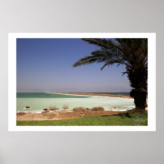 Totes Meer Poster (Vorne)