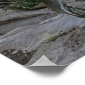 Totes Pferd Poster (Ecke)