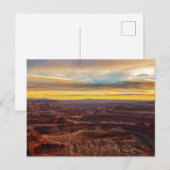 Totes Pferd Postkarte (Vorne/Hinten)