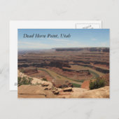 Totes Pferd Postkarte (Vorne/Hinten)