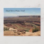 Totes Pferd Postkarte (Vorderseite)