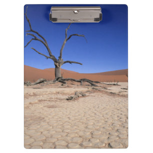 Totes Vlei, Sossusvlei, Namib-Naukluft Klemmbrett