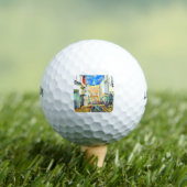 Totnes Golfball (Insitu T-Shirt)