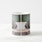 Toto auf einem Stumpf Kaffeetasse (Mittel)