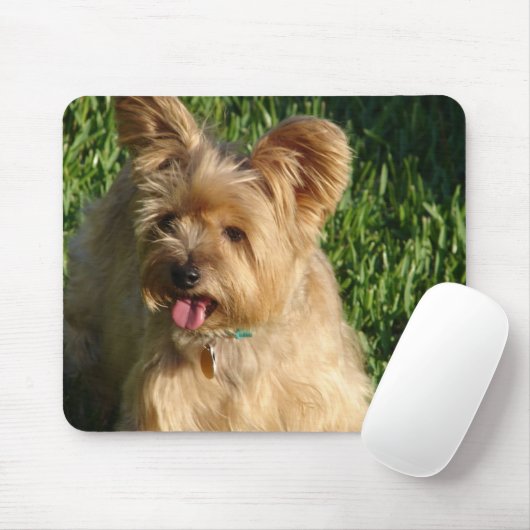 Toto Mousepad (Mit Mouse)
