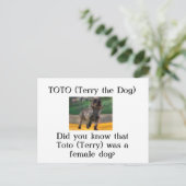 Toto (Terry the Dog) Postkarte (Stehend Vorderseite)
