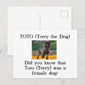 Toto (Terry the Dog) Postkarte (Vorne/Hinten)
