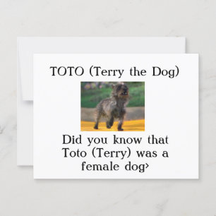 Toto (Terry the Dog) Postkarte