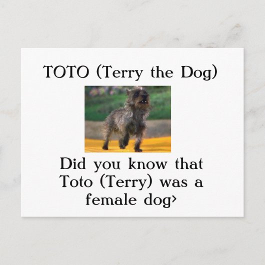 Toto (Terry the Dog) Postkarte (Vorderseite)