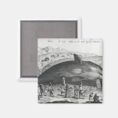 Totwal Magnet (Vorderseite/Rückseite)