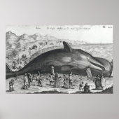 Totwal Poster (Vorne)