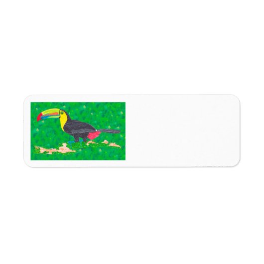 TOUCAN (Vorne)