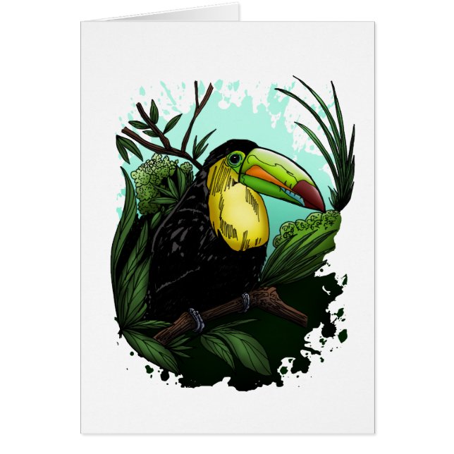 Toucan (Vorne)
