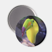 Toucan 1 Magnet (Vorderseite/Rückseite)