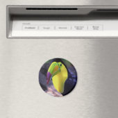 Toucan 1 Magnet (In Situ (Geschirrspüler))