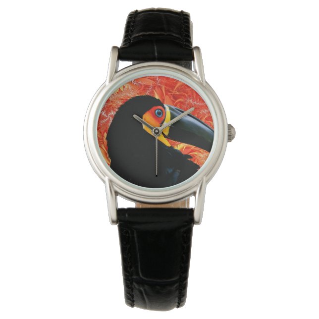 Toucan 3 Watch & Numerary Options Armbanduhr (Vorderseite)