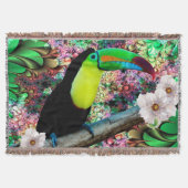 Toucan 4 decke (Vorderseite)
